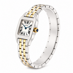 Santos de Cartier Demoiselle 20MM W25066Z6 18K/ Steel Watch
